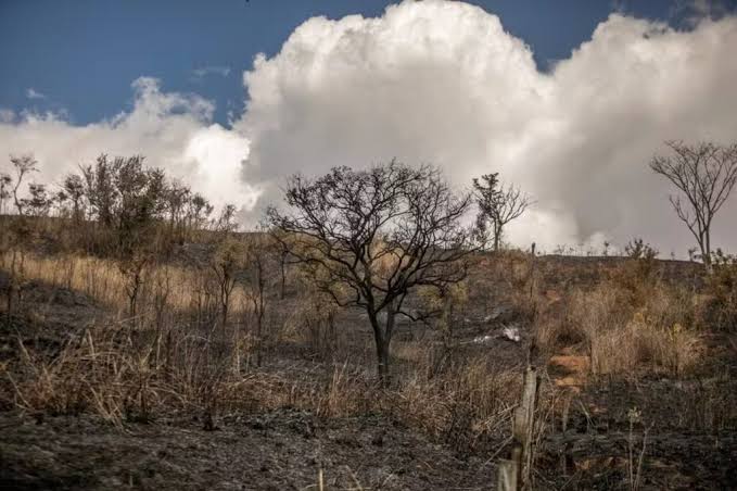 Projeto de Wladimir barrado em Brasília